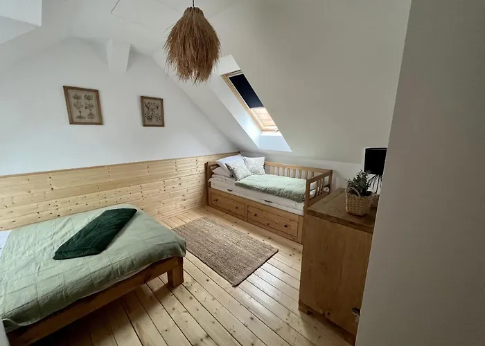 Na Kaszubach 49-1 - Ostoja Bukowo * Borowy Mlyn